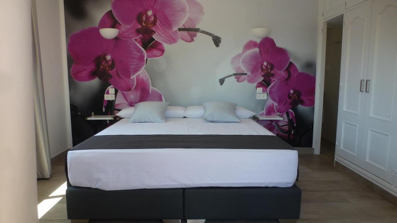 Suite met Kingsize Bed en Uitzicht op Zwembad