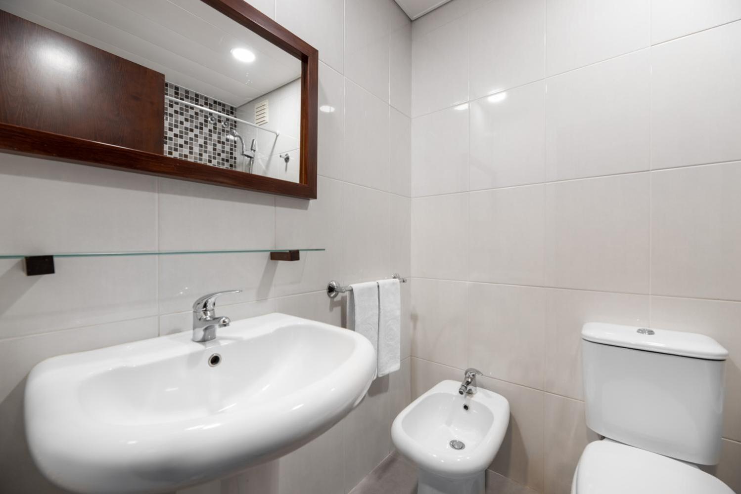 Double or Twin Room City View