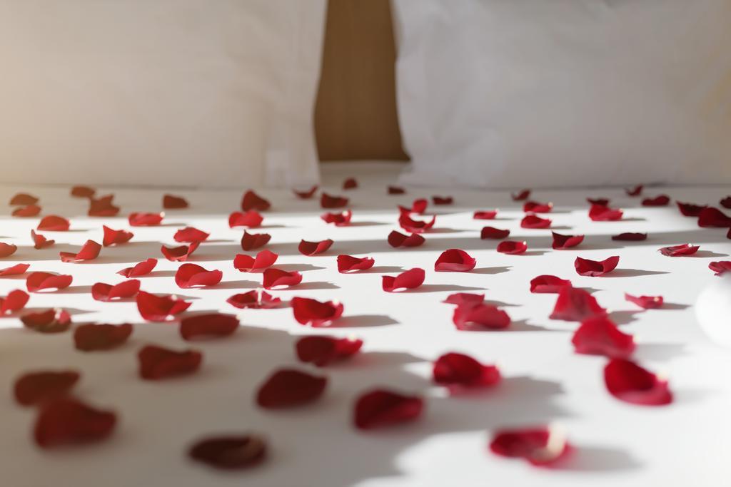 Privilege Double Room with Romantic Package