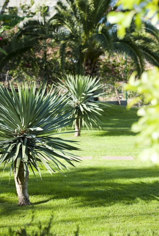 Habitación Individual Estándar