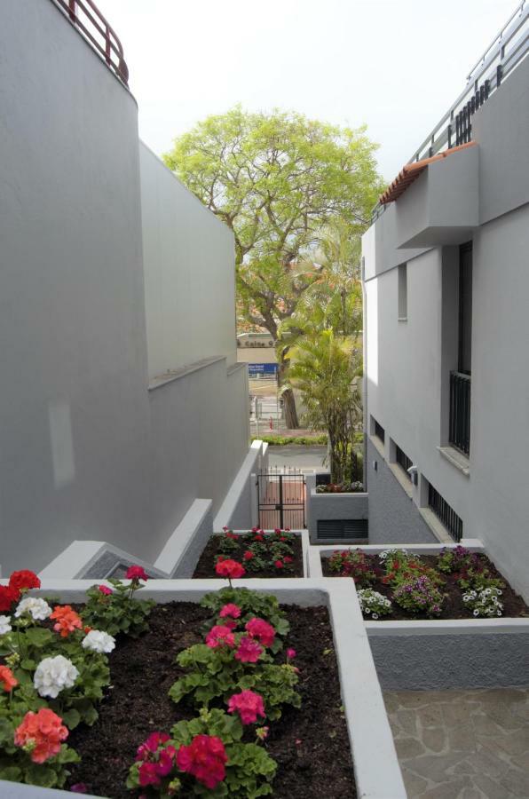 Estudio Estándar