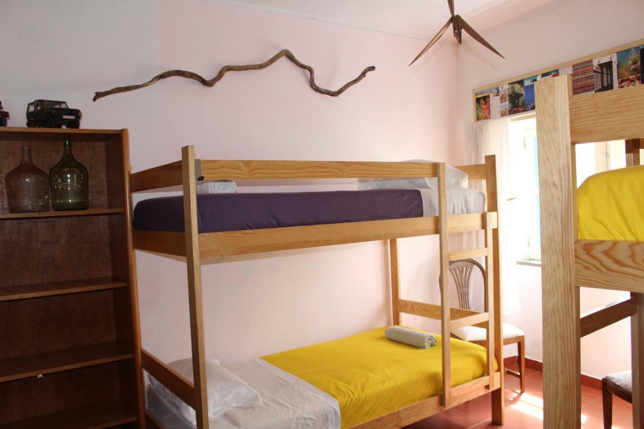 Bunk Bed in Mixed Dormitory Room
