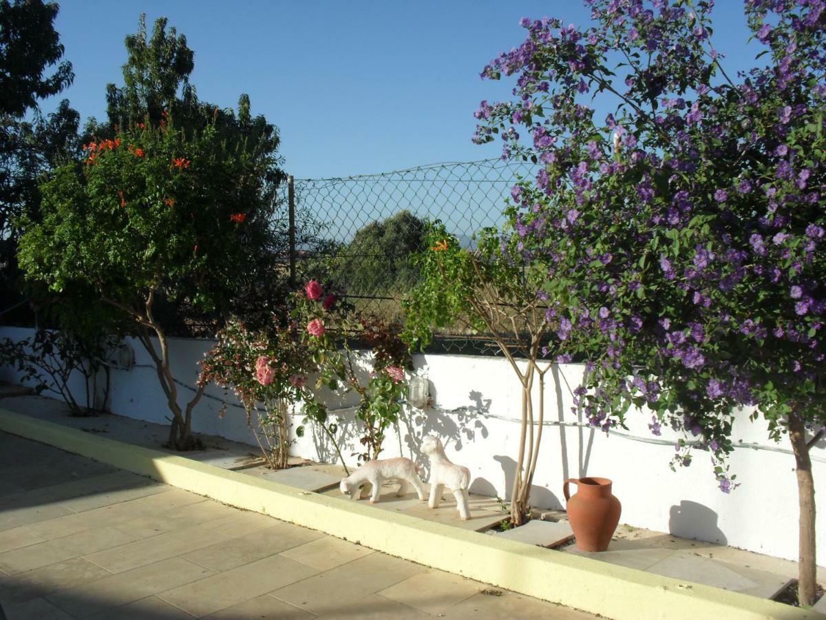 Tweepersoonskamer met Patio