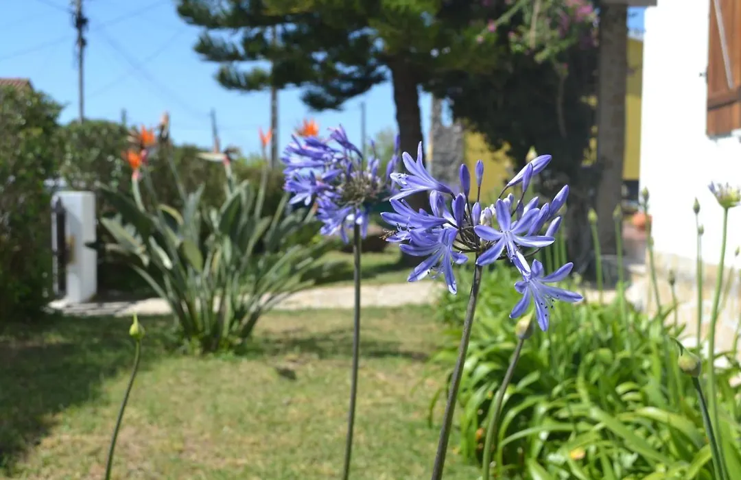 Meraki Guesthouse-1