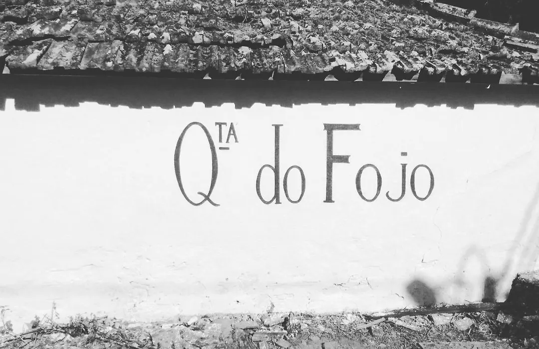 Quinta Do Fojo-1