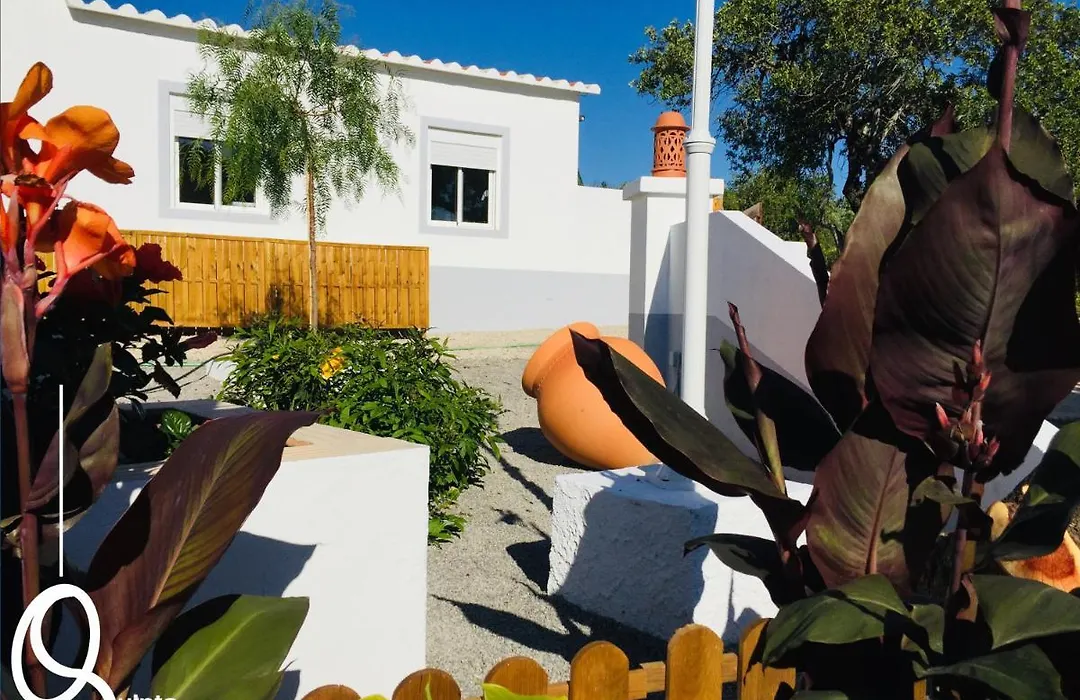 Quinta Dos Netos-1