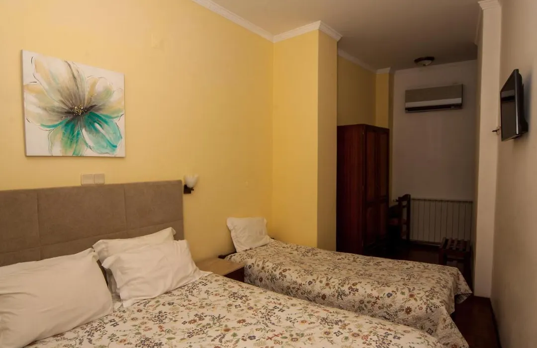 Hotel Leiriense-1