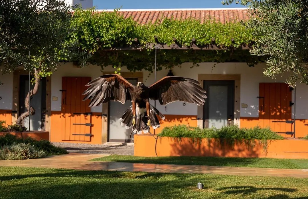 Vila Gale Collection Alter Real - Resort Equestre, Conference & Spa-1