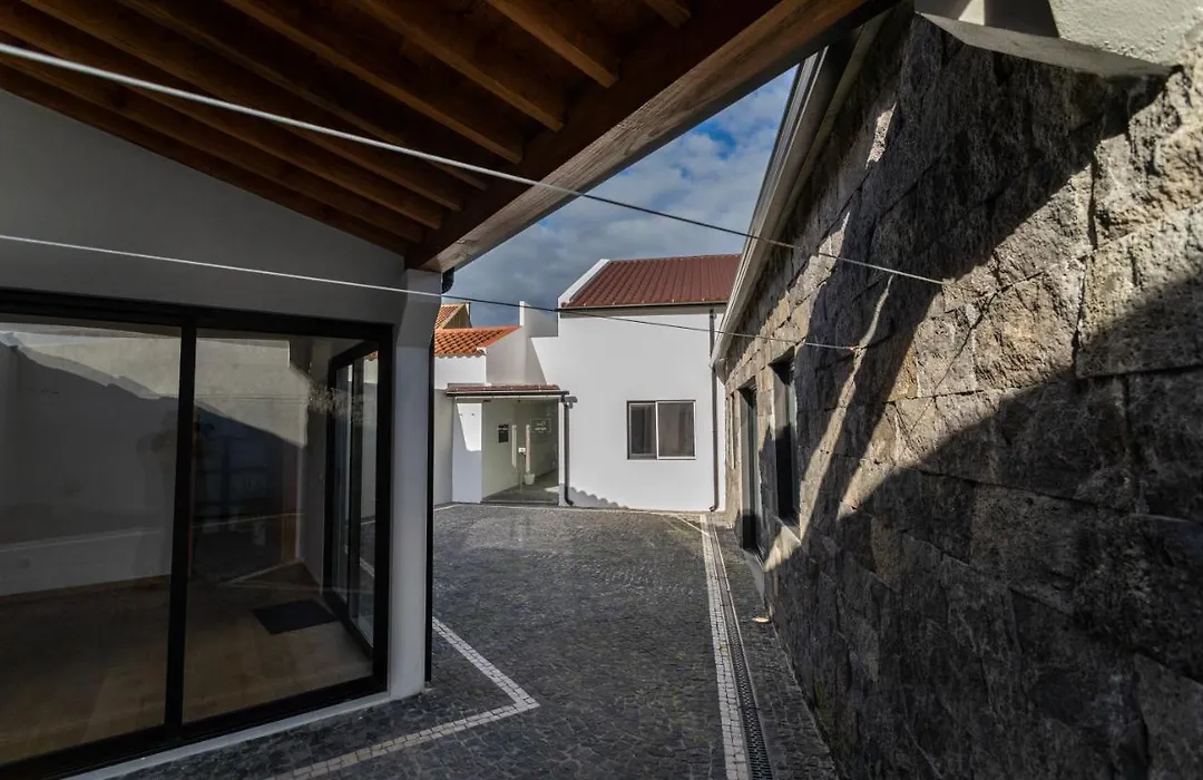 Carvão PDL Inn-1
