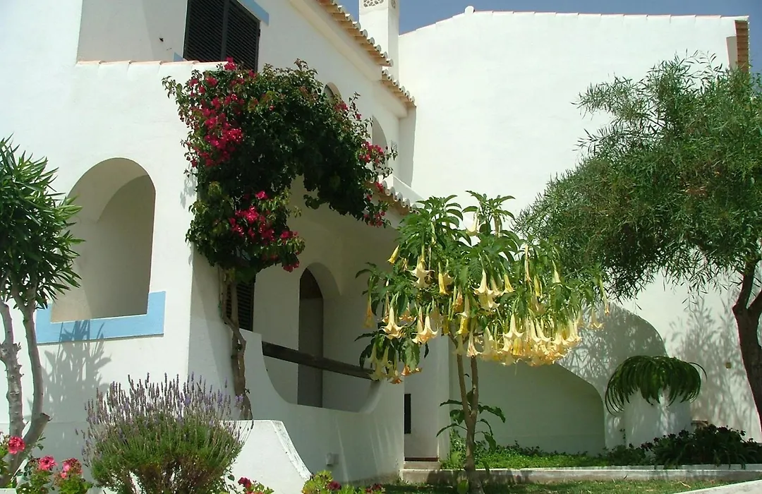 Turiquintas-1