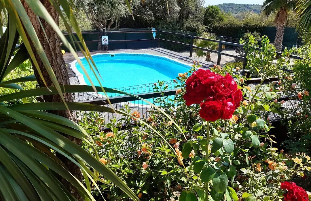 Aprahouseloule Guesthouse-1