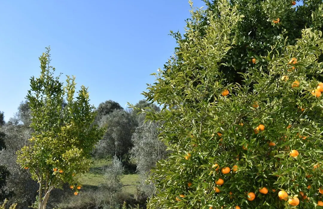 Quinta Da Marmela-1