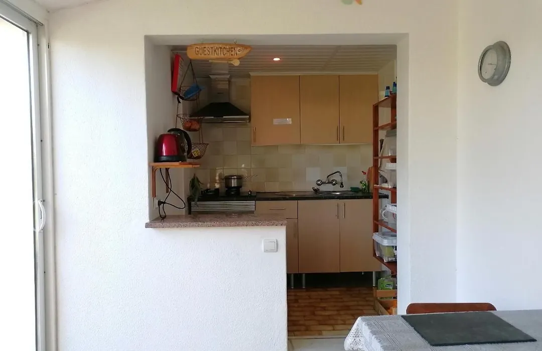 Casa Das Palmeiras-1
