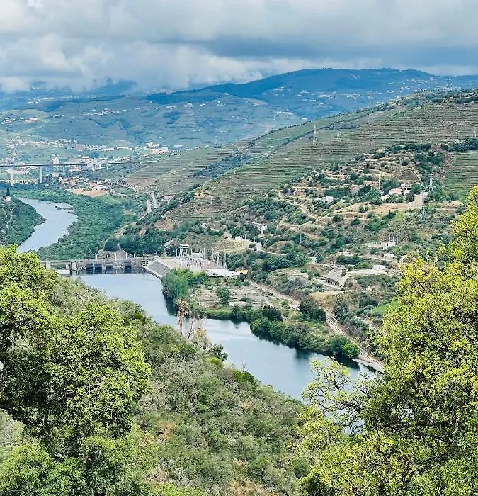 Quinta Da Pinguinha - Douro-1