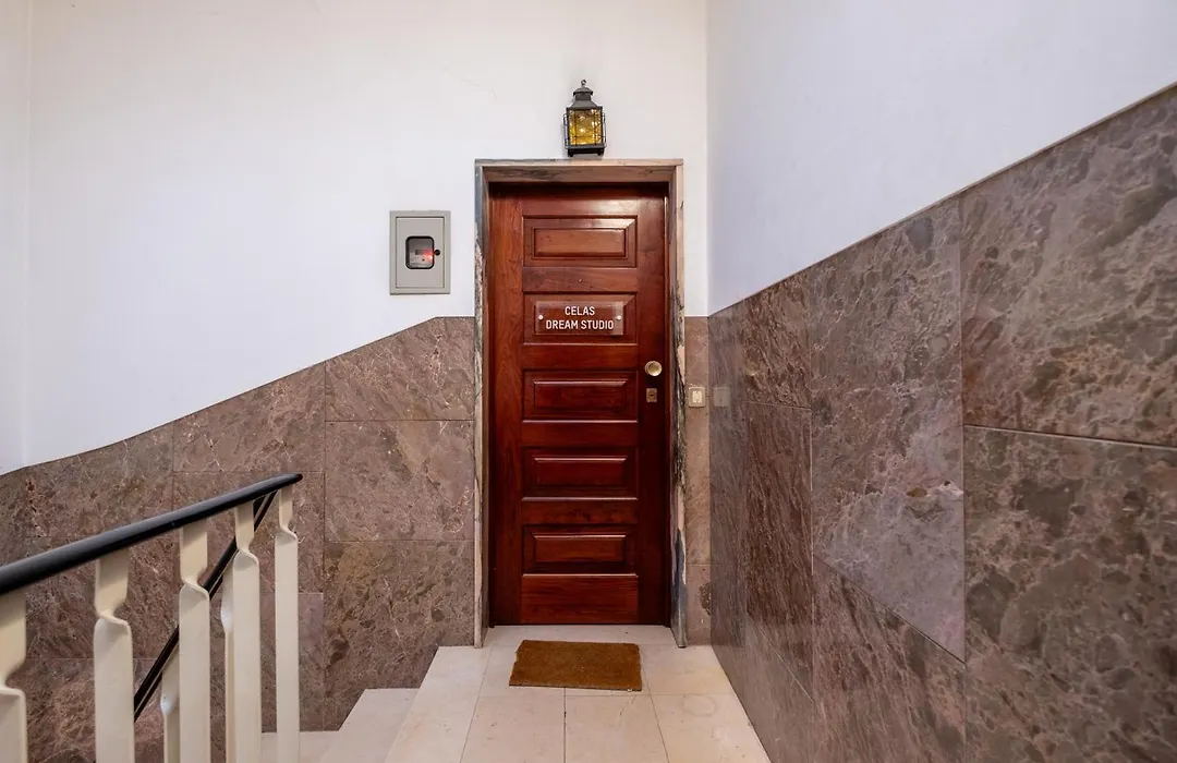 Celas Dream Studio-1