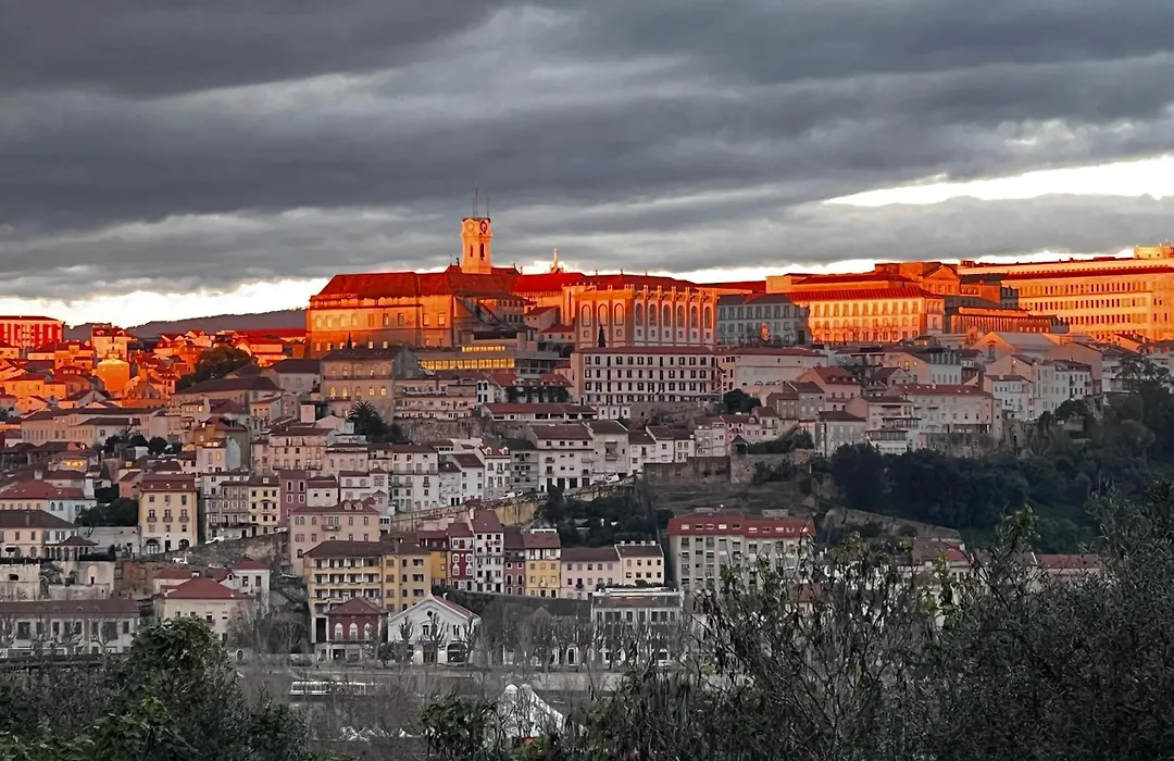 Coimbraameias-1