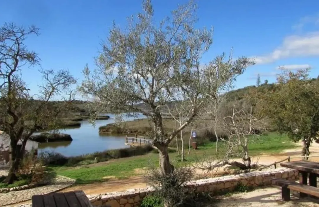 Ferragudo Cozy Studio-1