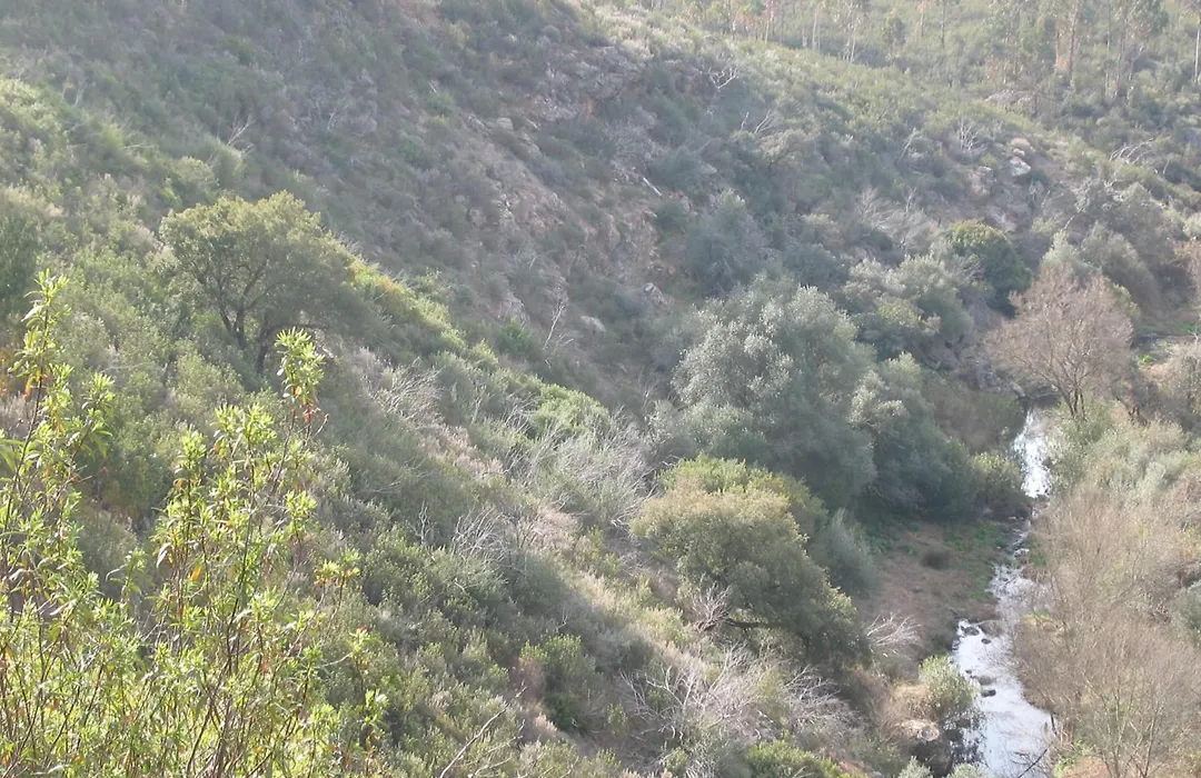 Herdade Do Rio Torto-1