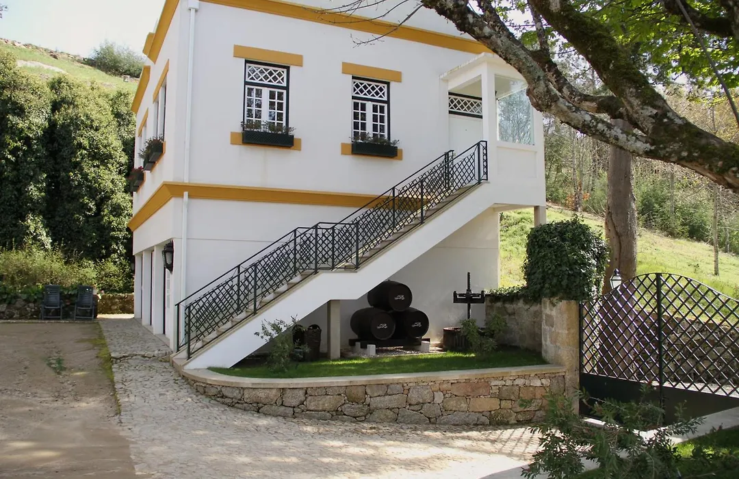 Camping Lamego Douro Valley-1