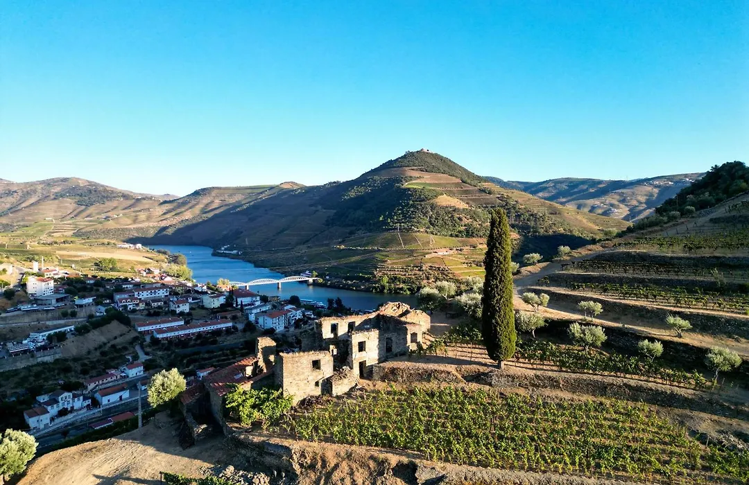 Dois Lagares House & Winery-1