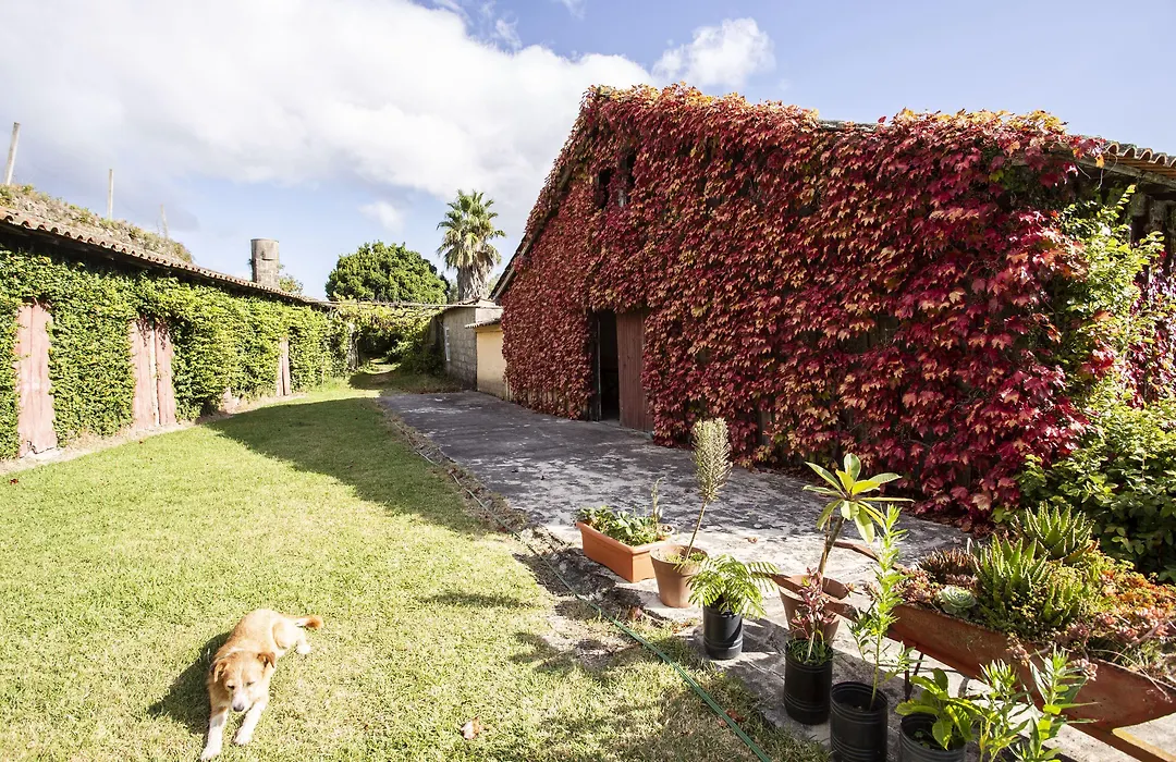 Casa da Várzea-1