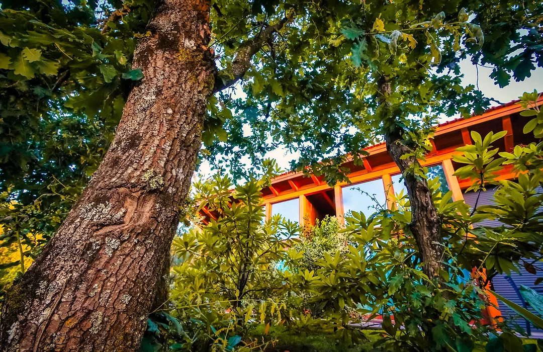 Rinoterra Minho-1