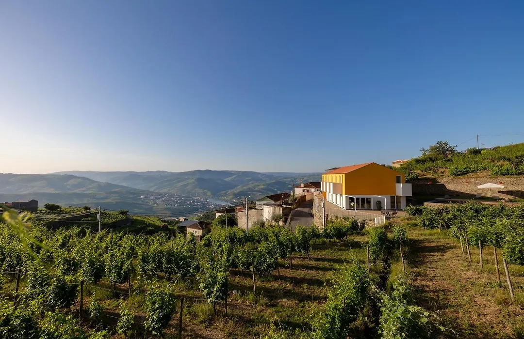 Casas Da Quinta De Santa Cruz - Douro Land-1