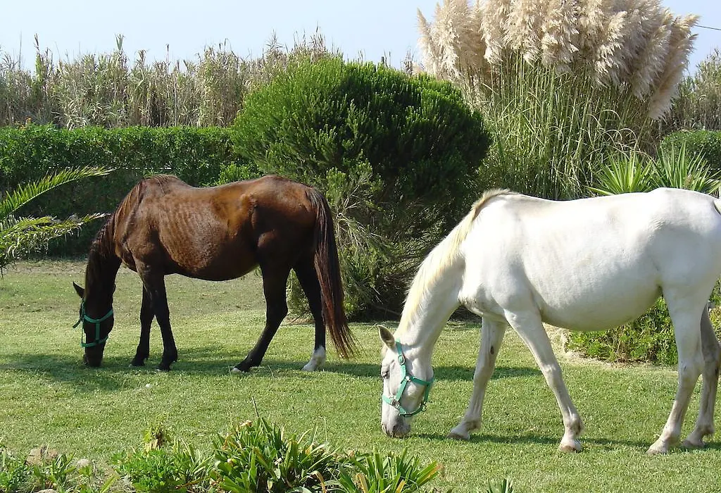 Quinta Beira-Mar-1