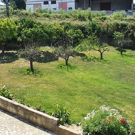 Cargal Leiria-3