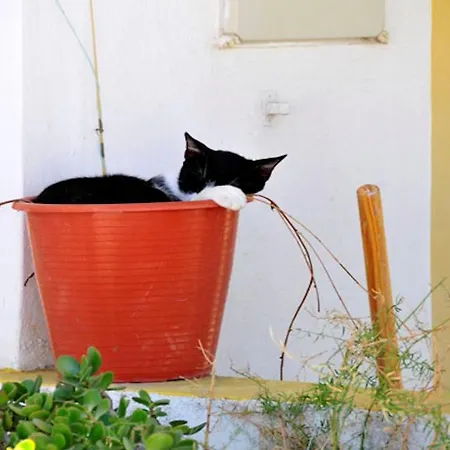 2 Bedroom Villa In Carvoeiro With Heated Pool Walking Distance To Resort And Beach-2