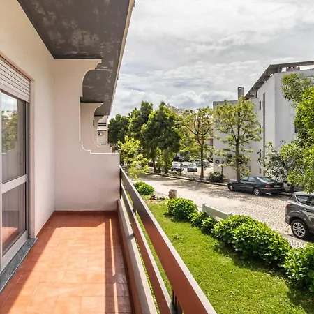 Hotel Colmeia-2