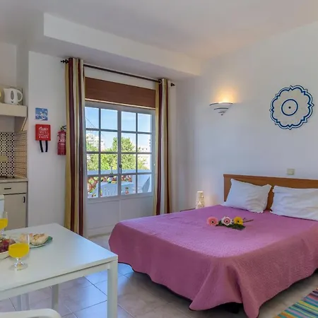 Palm Villa Estudios-3