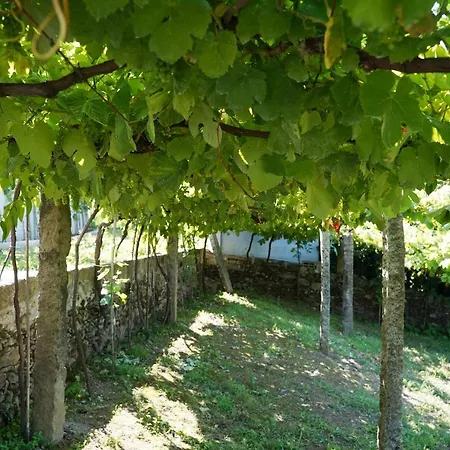 Casa Do Tio Armenio-2