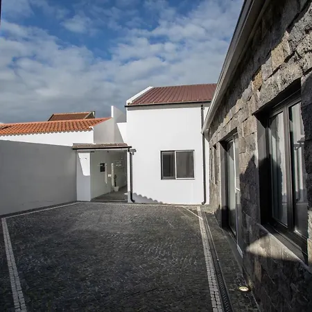 Carvão PDL Inn-3
