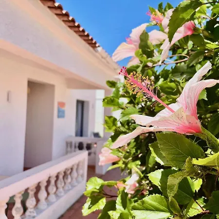 Charm Of The Algarve, Luxury Guesthouse Adults Only-3