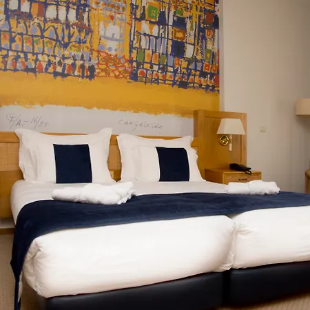 Hotel Rainha D. Amelia, Arts & Leisure-3