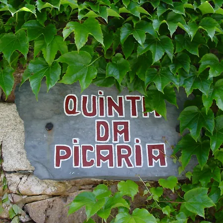 Quinta Da Picaria-2
