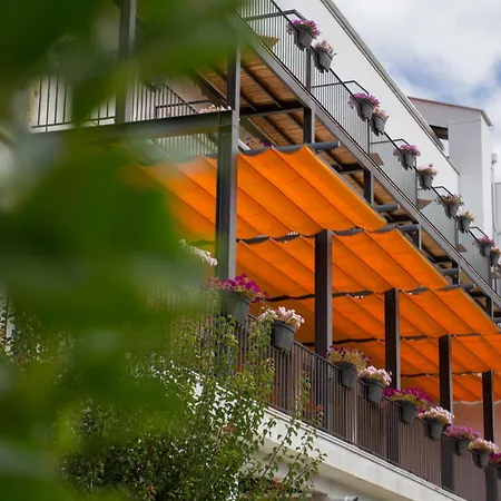 Hotel Aguiar Da Pena-2