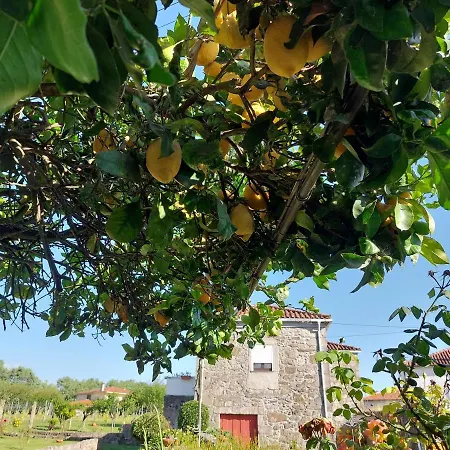 Quinta Da Ponte-2
