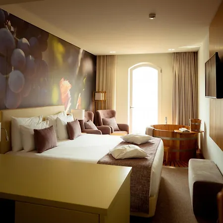 Douro Castelo Signature Hotel & Spa-2