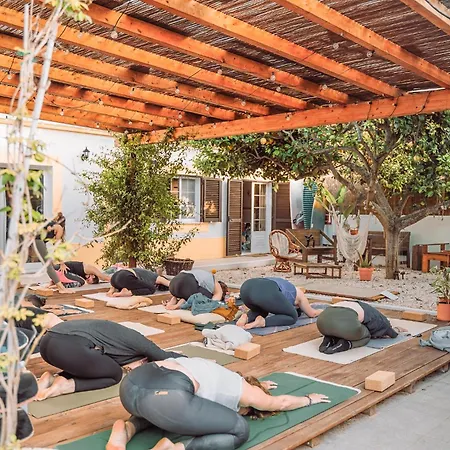 Lemontree Eco Surfhouse-2