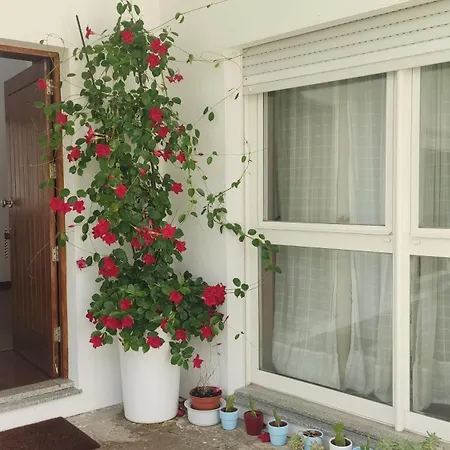Casa De Apeleiras-2