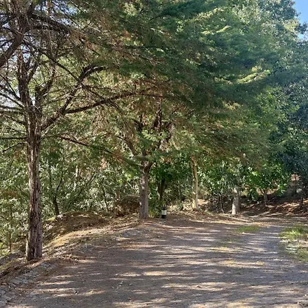 Casa De Apeleiras-3