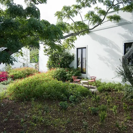 Green&Houses-3