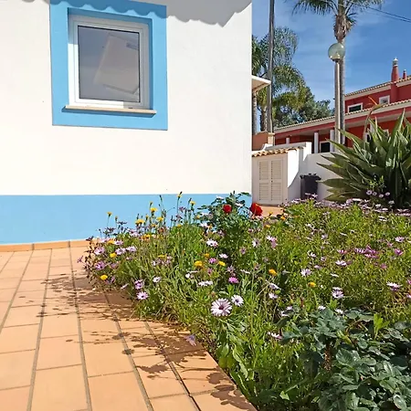 Casa Azul-3