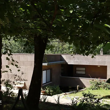 Moleiro da Costa Má-3