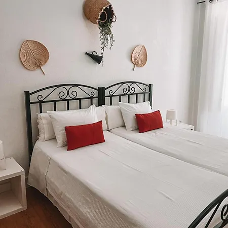 Avis Guesthouse-3