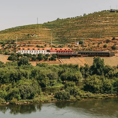 Torel Quinta Da Vacaria - Douro Valley-2