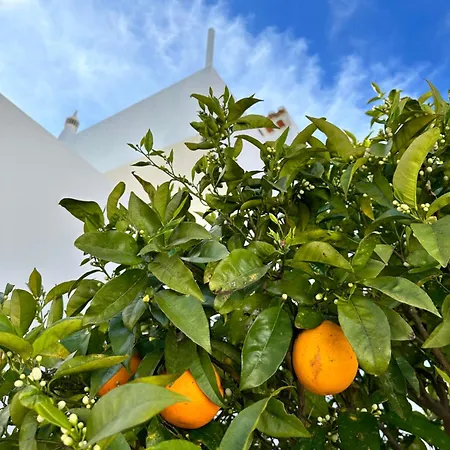 Casa Malia Luxury Guest House-2