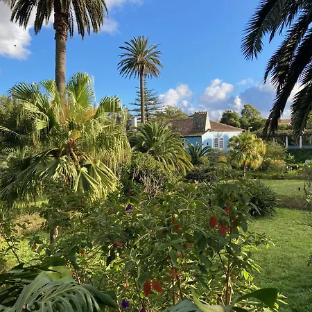 Quinta Das Palmeiras-3